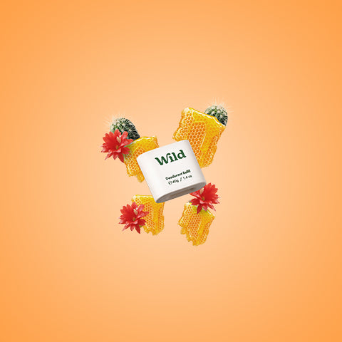 Honey & Cactus Flower Stick Deodorant Refill